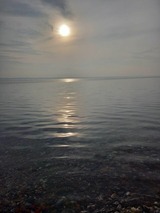 Ferienwohnung in Gro&szlig; Wittensee - Martens - Bild 24