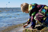 Ferienwohnung in Fehmarn - Knusthof Lafrenz - Apfelhofblick - Bild 10