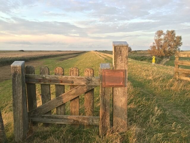 Ferienwohnung in Fehmarn OT D&auml;nschendorf - Ferienwohnung Fehmarn "FeWoFe"**** - Bild 17