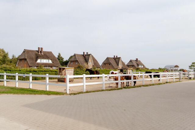 Ferienhaus in Fehmarn OT Staberdorf - Reethaus 2B - Bild 23