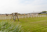 Ferienhaus in Fehmarn OT Staberdorf - Reethaus 2B - Bild 24