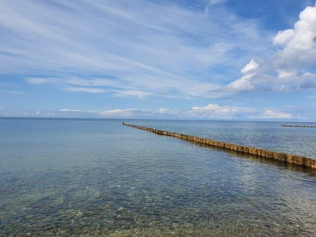 Ferienwohnung in Ribnitz-Damgarten - Auszeit im 'Seepferdchen' am SchilfMeerhof - Bild 25