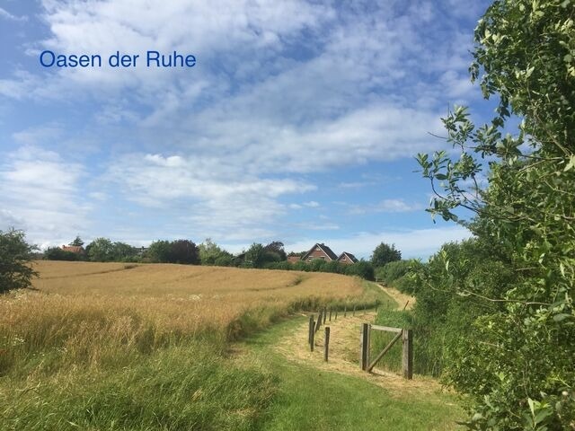 Ferienwohnung in Wendtorf - Whg. Sturmm&ouml;we - Haus Nordlichter - Bild 19