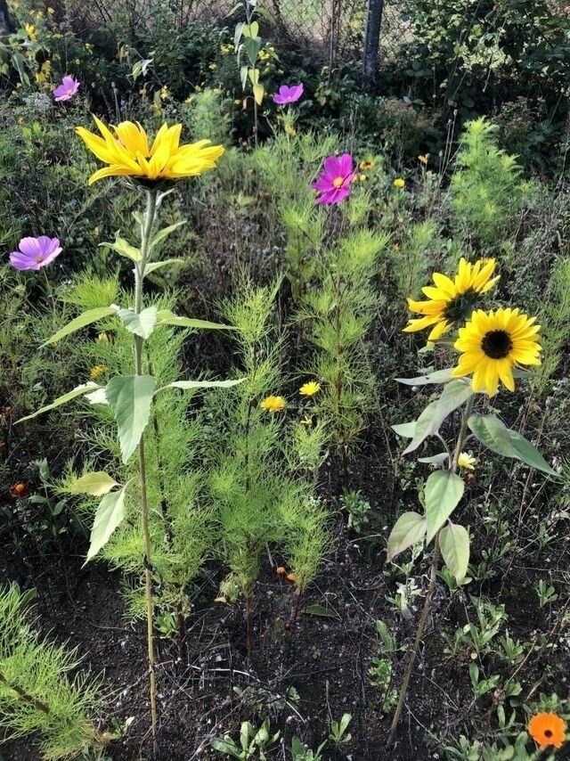 Ferienhaus in Steinbeck - MP 9 Villa - Bild 18