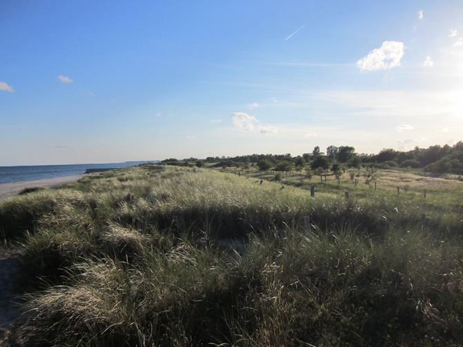 Ferienwohnung in Gr&ouml;nwohldshorst - Ferienwohnung Jonas - Bild 21