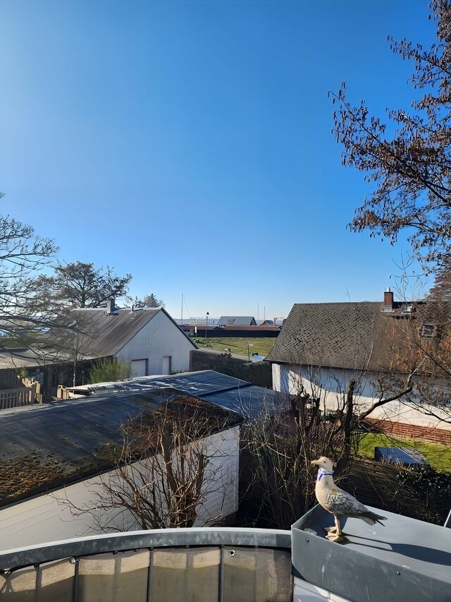 Ferienwohnung in Ostseeheilbad Zingst - Boddenkieker 03 - Bild 6