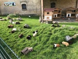 Ferienwohnung in Fehmarn OT Staberdorf - Tenne 6 - Bild 22