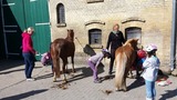 Ferienwohnung in Fehmarn OT Staberdorf - Tenne 6 - Bild 13