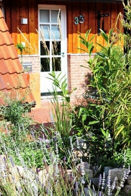 Ferienhaus in Kellenhusen - Waldhaus - Bild 21