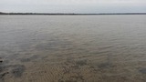 Bungalow in Hohenkirchen - direkt am Wasser ""Küstenperle"mit Meerblick und Sauna - Bild 3