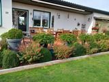 Bungalow in Hohenkirchen - direkt am Wasser ""Küstenperle"mit Meerblick und Sauna - Bild 5