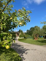 Ferienwohnung in Fehmarn OT Wulfen - Ruth Sonnenhut - Bild 24