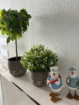 Ferienwohnung in Zingst - Ostseemöwe NEU - Bild 20