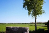 Ferienwohnung in Fehmarn OT Bannesdorf - Ferienwohnung Albert - Bild 2