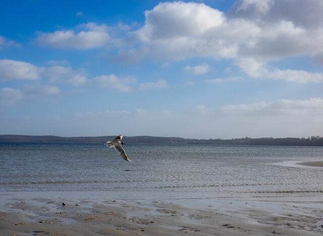 Ferienhaus in Gl&uuml;cksburg - Ferienhaus Seepferdchen - Bild 25