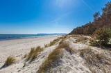 Ferienwohnung in Binz - Loris Studio - Bild 9