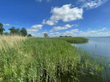Ferienhaus in Garz - Ferienhaus Rügenbrise mit Seeblick direkt am Wasser - Bild 9