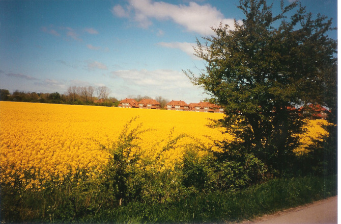 Ferienwohnung in Fehmarn OT Petersdorf - Fewo Bartels Kiebitzweg EG - Bild 14