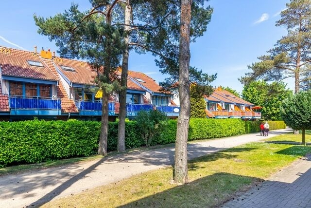 Ferienwohnung in Boltenhagen - Papillon 16-4 - Bild 15