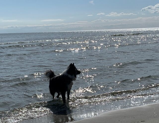 Ferienwohnung in G&ouml;hren - Villa Kehrwieder Fewo Nr. 2 EG - Bild 2