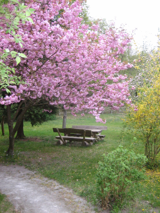 Ferienwohnung in Rostock - Ferienwohung Ostseewald - Bild 20